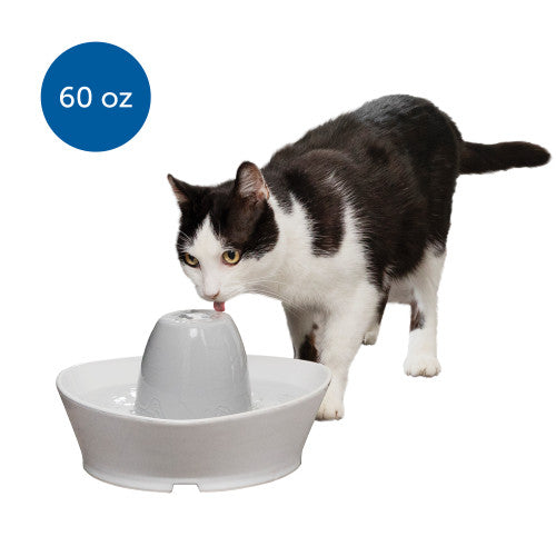 PetSafe Creekside Ceramic Pet Fountain 60 Ounces - Cat