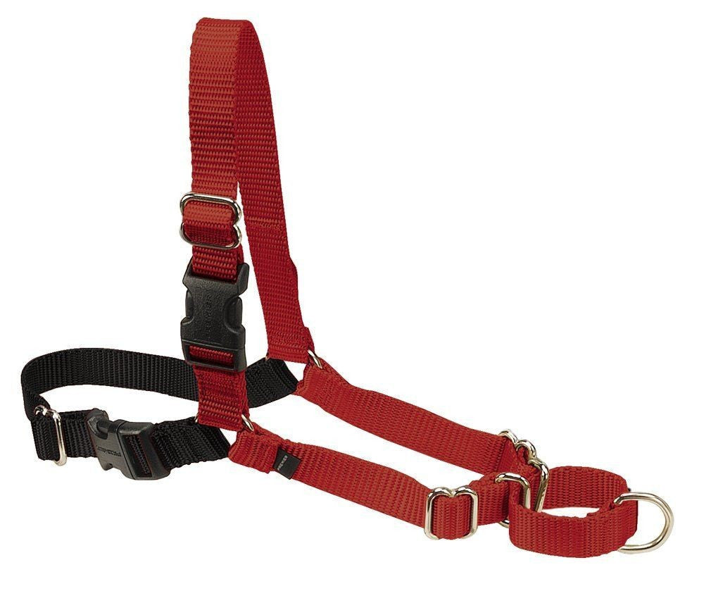 PetSafe Easy Walk Dog Harness Black/Red MD