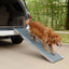 PetSafe Happy Ride Telescoping Pet Ramp for Dogs Grey Regular