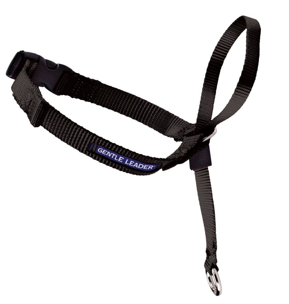 PetSafe Headcollar No-Pull Dog Collar Black LG