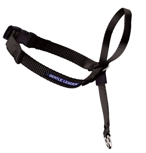 PetSafe Headcollar No - Pull Dog Collar Black MD