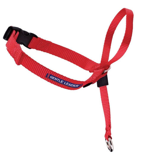 PetSafe Headcollar No - Pull Dog Collar Red LG