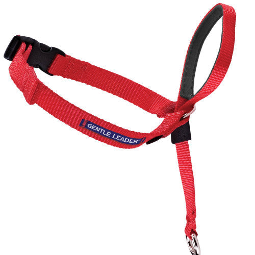 PetSafe Headcollar No - Pull Dog Collar Red SM
