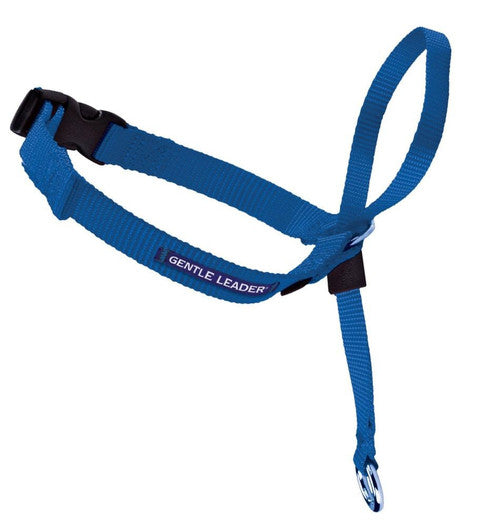 PetSafe Headcollar No - Pull Dog Collar Royal Blue MD
