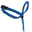 PetSafe Headcollar No-Pull Dog Collar Royal Blue MD