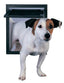 PetSafe Pet Screen Door Bronze SM - Dog