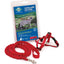 PetSafe Premier Come With Me Kitty Harness & Bungee Leash Combo Red/Cranberry SM