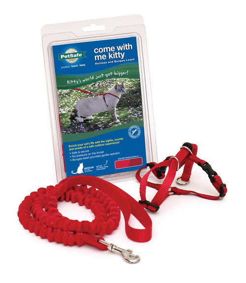 PetSafe Premier Come With Me Kitty Harness & Bungee Leash Combo Red/Cranberry MD - Cat