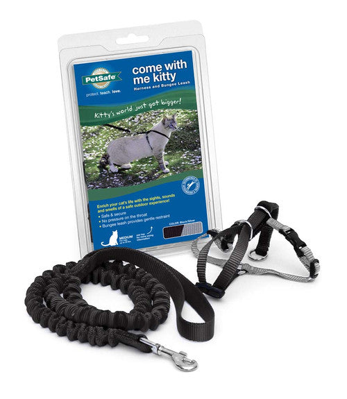 PetSafe Premier Come With Me Kitty Harness & Bungee Leash Combo Black/Silver MD - Cat