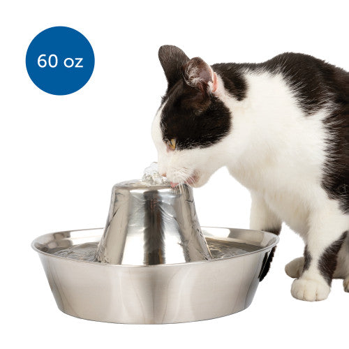 PetSafe Seaside Stainless Pet Fountain 60 Ounces - Cat