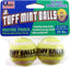 Petsport USA Jr. Mint Balls Dog toy Assorted 2 Pack 1.8