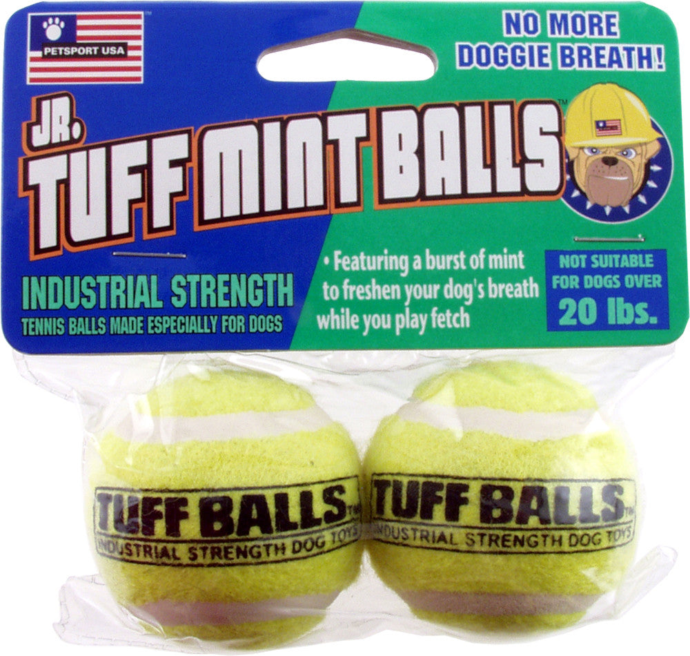 Petsport USA Jr. Mint Balls Dog toy Assorted 2 Pack 1.8 in