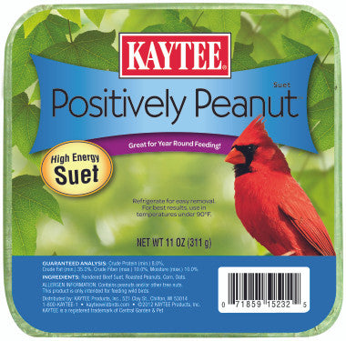 Positively Peanut Suet 11 Ounces - Bird
