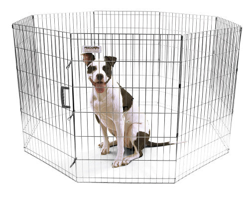 Precision Exercise Pen Silver 36 in - Dog