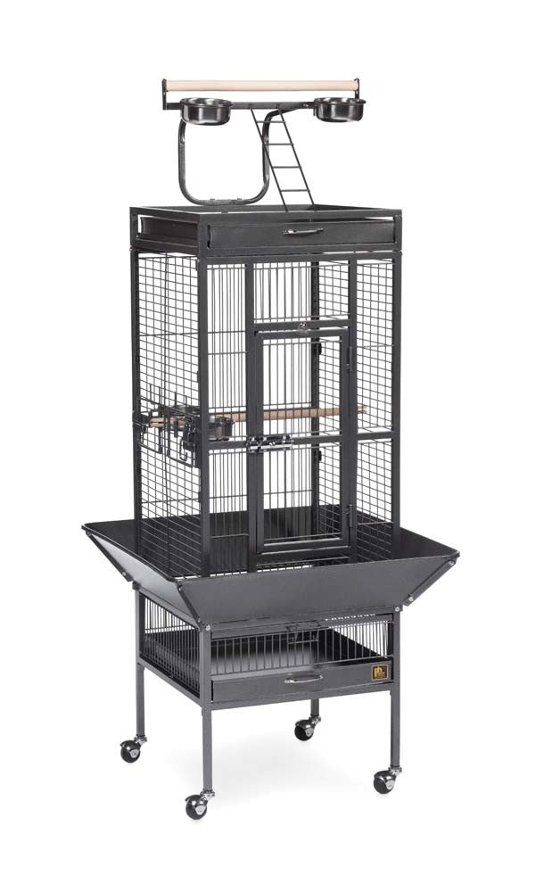 Prevue 3151 Select Series Wrought Iron Bird Cage Hammertone Black