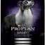 Pro Plan Dog Chicken and Rice 26/16 37.5 lb. {L - 1}381493