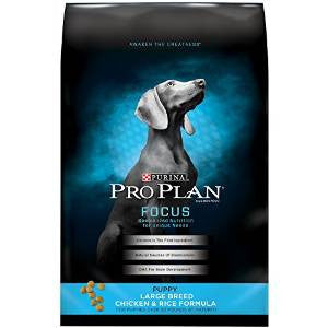 Pro Plan Large Breed Puppy 18 lb. {L - 1}381419 - Dog