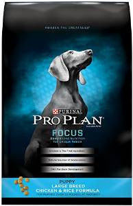 Pro Plan Large Breed Puppy 34 lb. {L-1}381421 038100132635