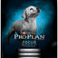 Pro Plan Lmb/rc Pup 18lb {L + 1}381409 - Dog