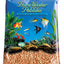 Pure Water Pebbles Premium Fresh Coated Aquarium Gravel Neon Orange 6/5 lb