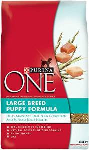 Purina One Large Breed Puppy 16.5lb {L - 1}178540 - Dog