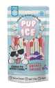 Spot Pup Ice Dog Chew Treat Rocket Lollie Strawberry & Blueberry 2 pk 077234072417