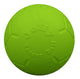 Jolly Pet Soccer Ball Boxed Dog Toy Green Small, 5.5 in 788169720631