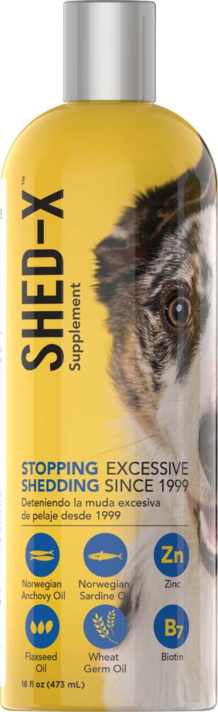 Synergy Labs Dermaplex Supplement for Dogs 16 fl oz 736990005168