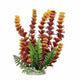 Aquatop Cabomba Aquarium Plant with Weighted Base Fire 9 in 819603014624