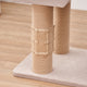 PetPals Anywhere Cat Massager Attachment 818483019897