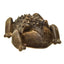 Redbarn Chew - A - Bulls Dental Dog Treat Toad 25pk LG