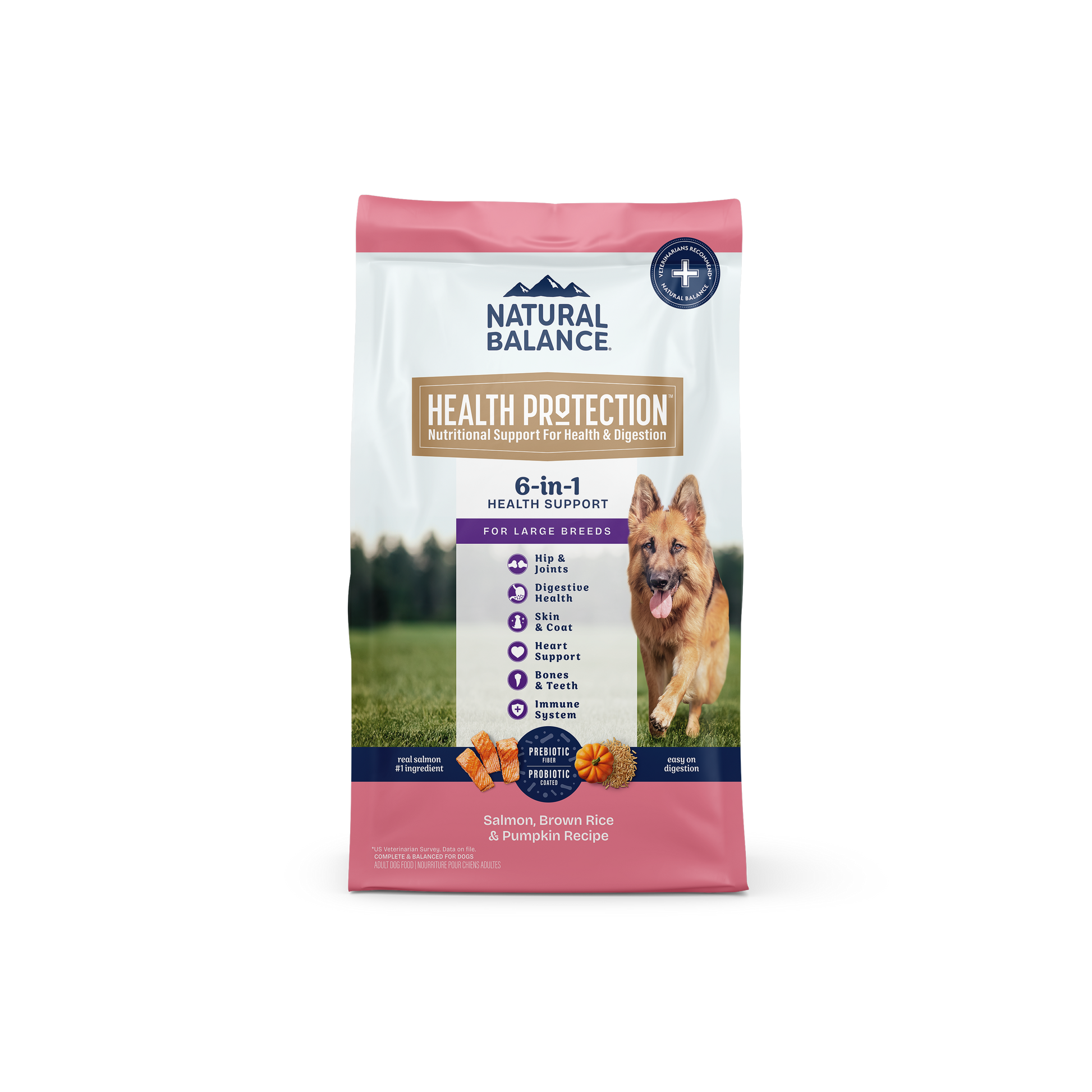 Natural Balance Pet Foods Health Protection Large Breed Dry Dog Food Salmon & Rice 26 lb 723633007412