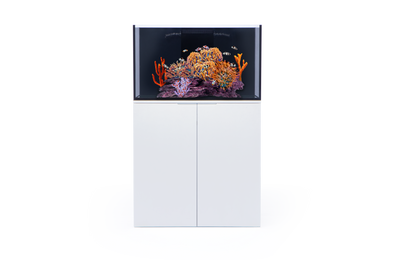 Eshopps Rimless Mariner Aquarium w/Stand White 70 gal SD-3 793888796201