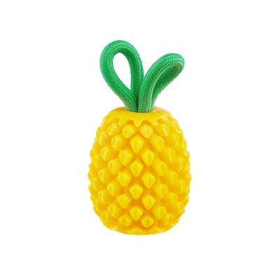 Outward Hound Dental Pineapple Dental Chew Toy and Interactive Treat Stuffer 700603714921