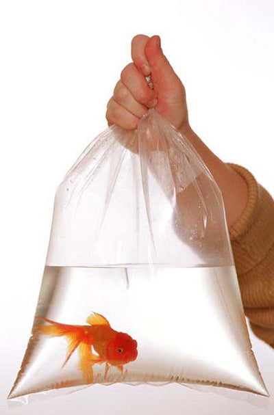 Rutan Poly Industries Fish Bags Clear 2mm 10 InchesX 20 Inches 1000 Bag - Aquarium