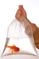 Rutan Poly Industries Fish Bags Clear 2mm 9 InchesX 15 Inches 1000 Bag - Aquarium