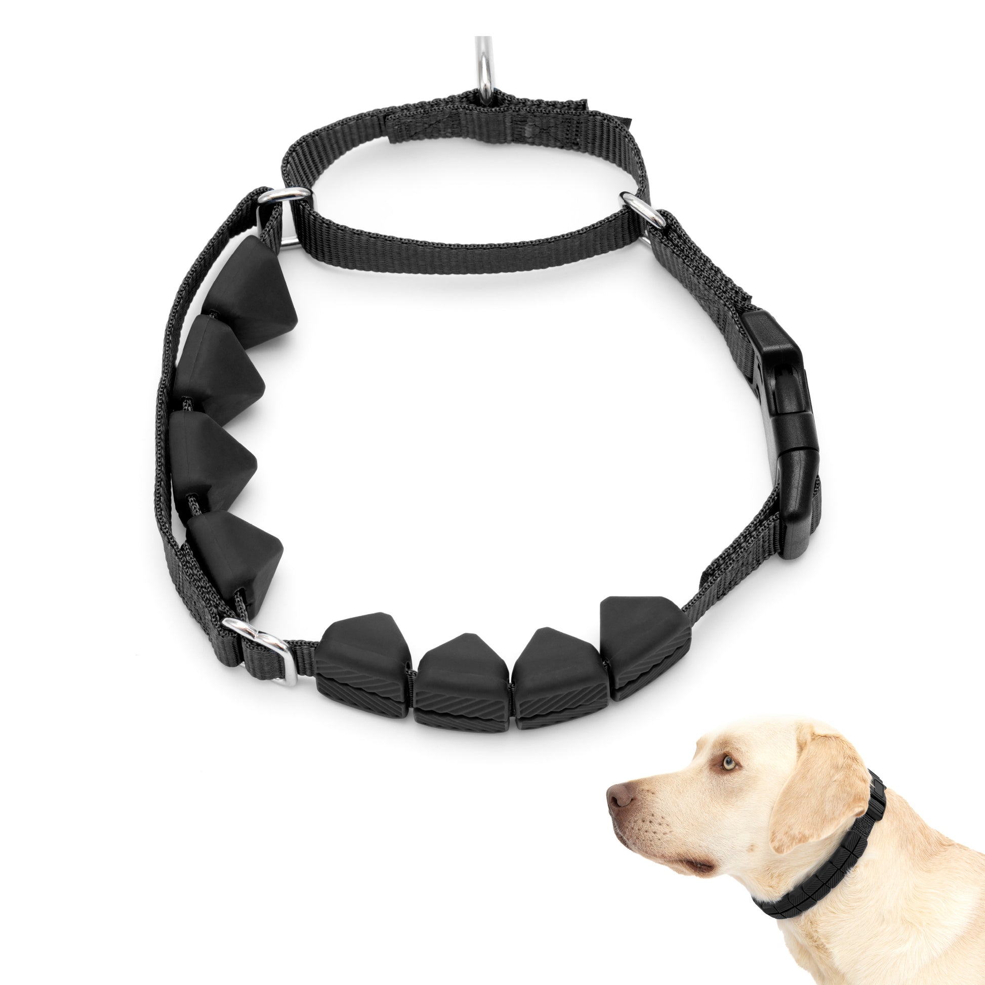 PetSafe Soft Point Training Collar 1in wide Black Large 729849175143