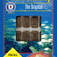 San Francisco Brine Shrimp Frozen Fish Food 1.75 oz SD - 5 - Aquarium