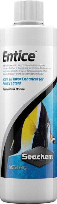 Seachem Entice Enhancer for Marine and Freshwater Fish 8.5 fl. oz - Aquarium