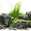 Seaview Double Sided Background Amazonia & Green Spike 12 Inches X 50 Feet - Aquarium