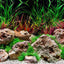 Seaview Double Sided Background Aquawild & Slateways 12 Inches X 50 Feet - Aquarium