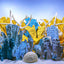 Seaview Double Sided Background Coral Bliss & Luscia Reef 18 Inches X 50 Feet - Aquarium