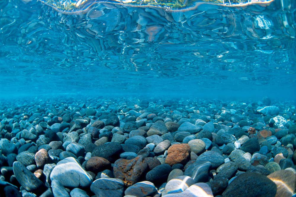 Seaview Double Sided Background River Rock & Sea of Green 24 Inches X 50 Feet