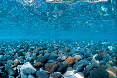 Seaview Double Sided Background River Rock & Sea of Green 24 Inches X 50 Feet