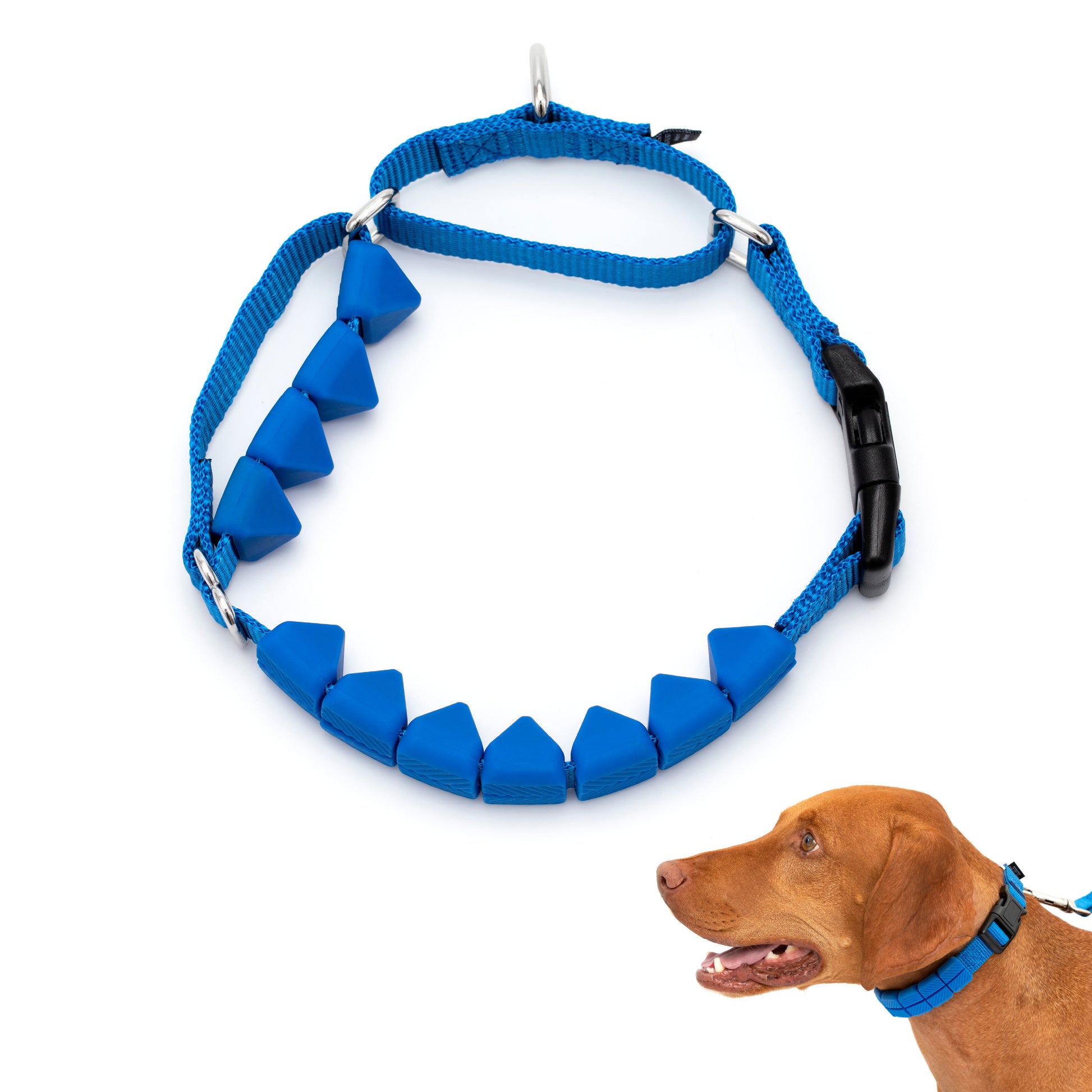 PetSafe Soft Point Training Collar 3/4in wide Royal Blue Medium 729849175150