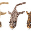 Skinneeez Jungle Series Dog Toy Cat Assorted Mini (DD)