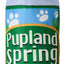 Spot Fun Drink Pupland Springs Dog Toy Green 11in