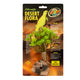 Zoo Med Desert Flora Plant Tree Houseleek 097612180763