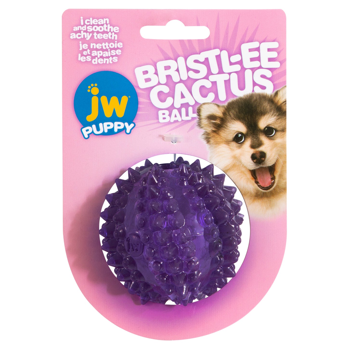 JW Pet Bristl-ee Cactus Ball Puppy Toy Puppy 029695606366