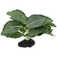 Komodo Standing Vein Plant 4 in 784369933826